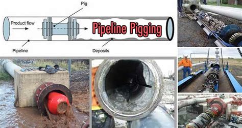 what is gas pipeline pigging